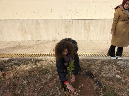 Her Çalışan Bir Fidan